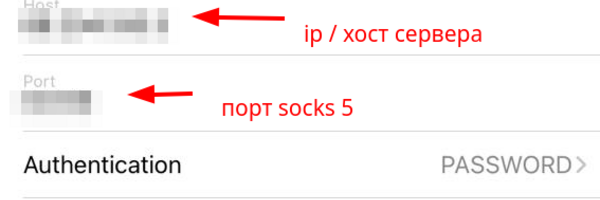 ios-socks-proxy-2.png